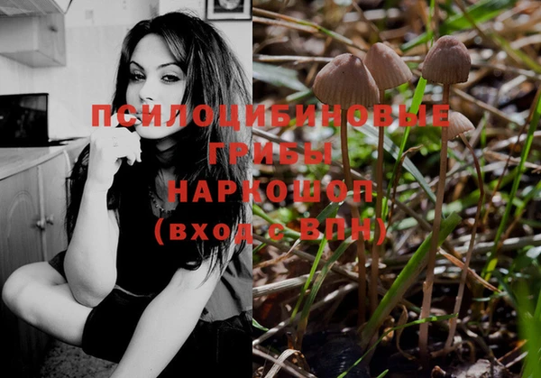 ECSTASY Беломорск