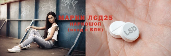 СК Белокуриха