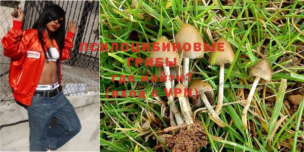 гашик Белоозёрский