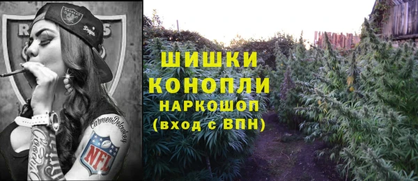 СК Белокуриха