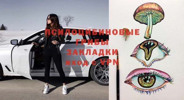 СК Белокуриха