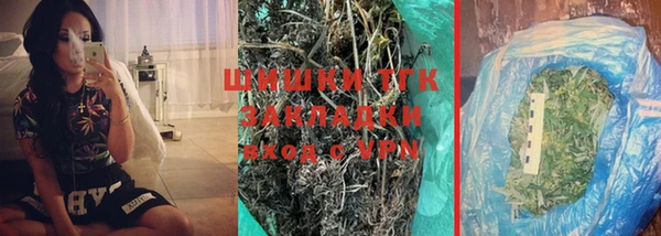 гашик Белоозёрский