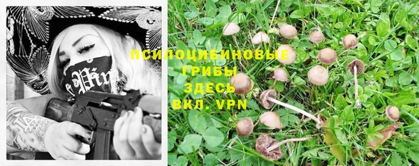 ECSTASY Беломорск