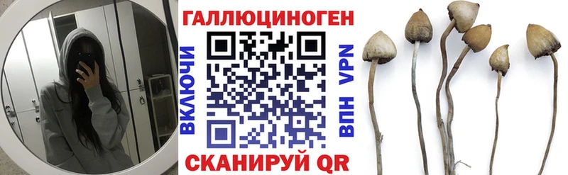 Купить закладки  Фокино  Галлюциногенные грибы MAGIC MUSHROOMS 